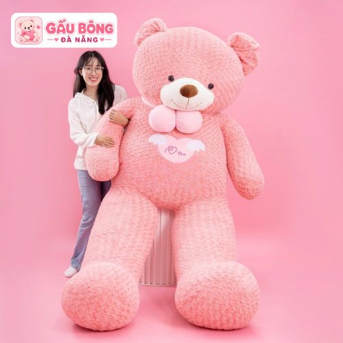 gau-teddy-hong