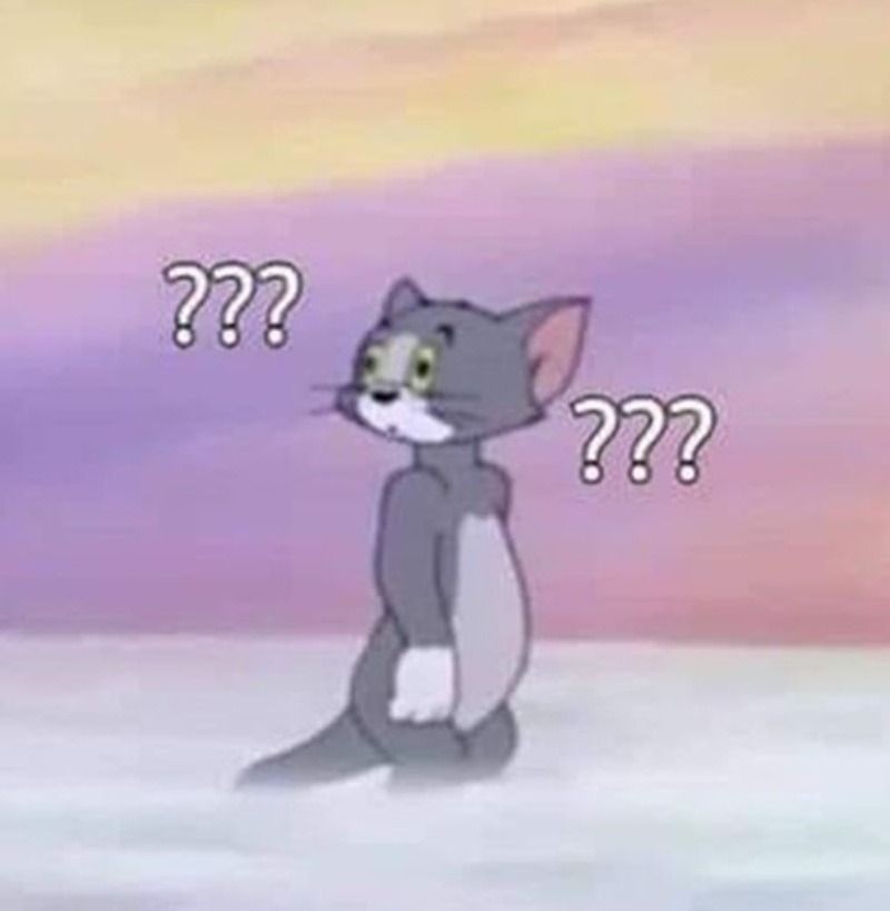 Meme hỏi chấm hình mèo dễ thương