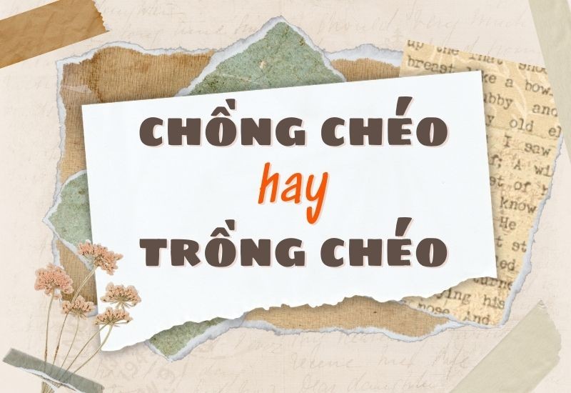 Người đang băn khoăn giữa cách viết "chồng chéo" và "trồng chéo"