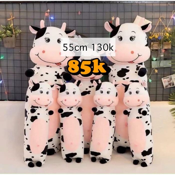 Gấu bông lớn và nhỏ tại Nhà Gấu, một trong những shop gấu bông Đà Nẵng uy tín