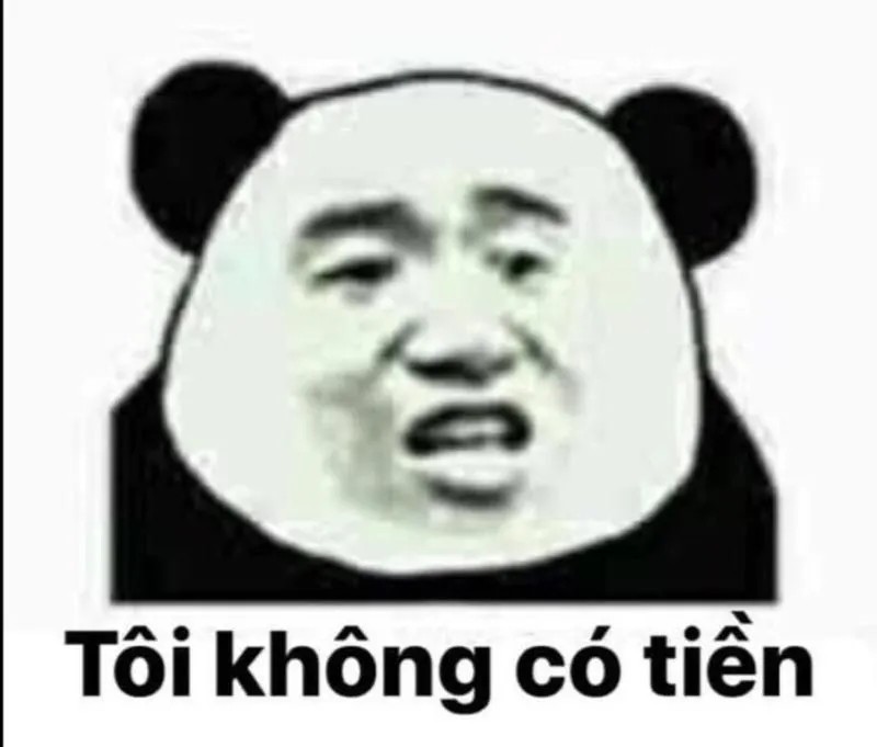 Meme gấu trúc than thở "thực sự không có tiền"