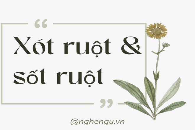 Hai từ 'xót ruột' và 'sốt ruột' với cách viết dễ gây nhầm lẫn