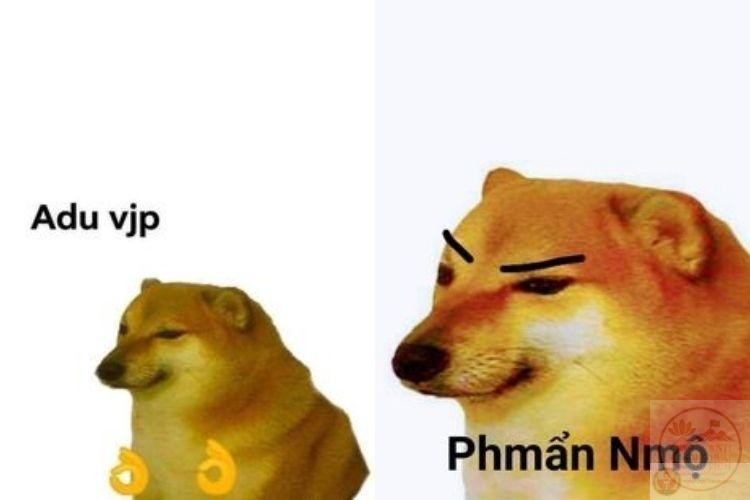 Hình ảnh động vật meme troll loading siêu hài hước đáng yêu