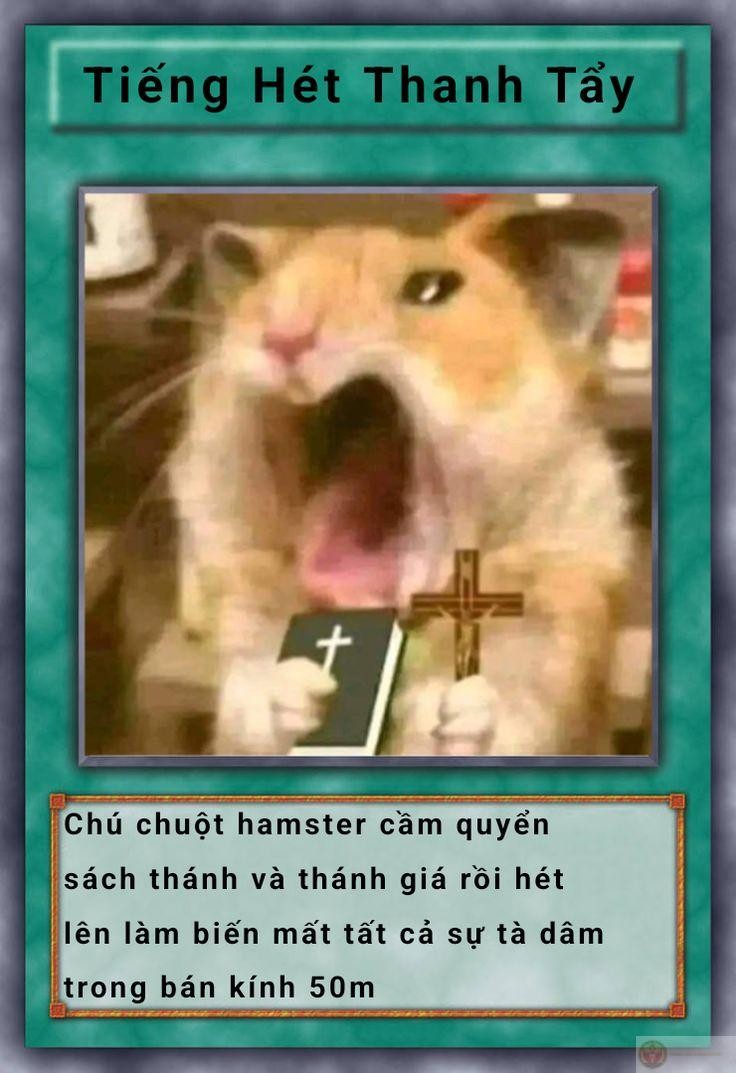 Bài yugioh meme được yêu thích trong cộng đồng