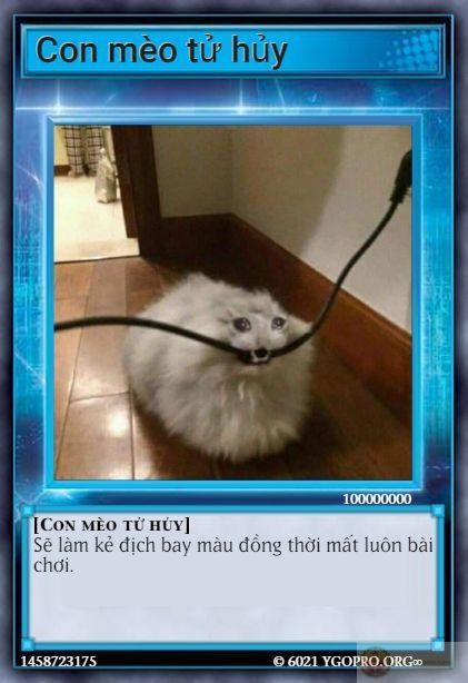 Bộ bài meme đa dạng phong phú