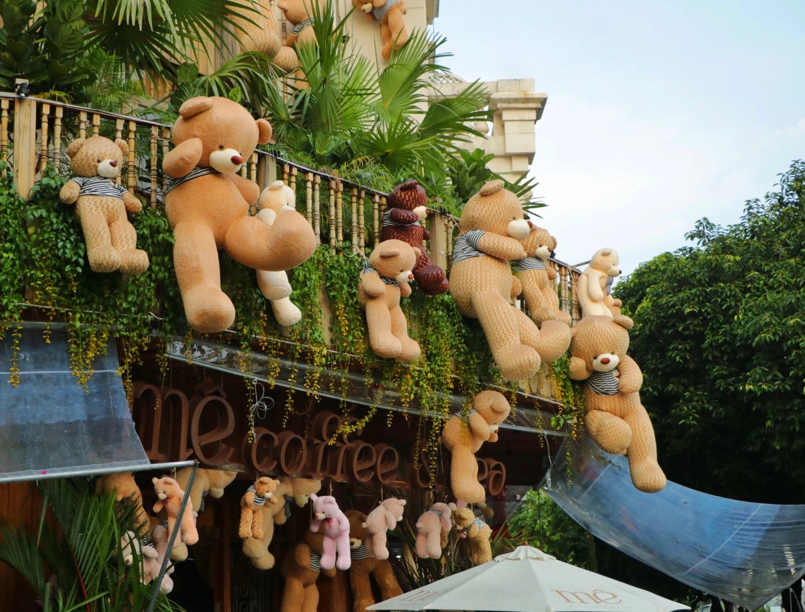 Nhiều chú gấu bông với kích thước khác nhau bên trong quán