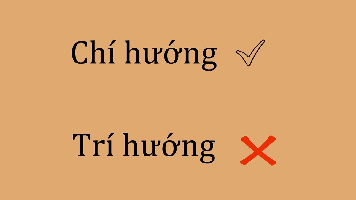 Minh họa về tầm quan trọng của việc xác định đúng từ ngữ