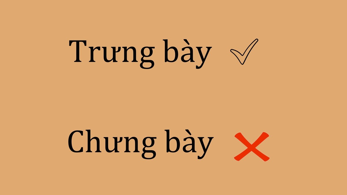 Cảnh tượng trưng bày các sản phẩm gấu bông tại cửa hàng