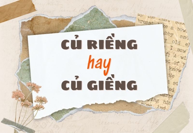 Củ riềng tươi nguyên bản