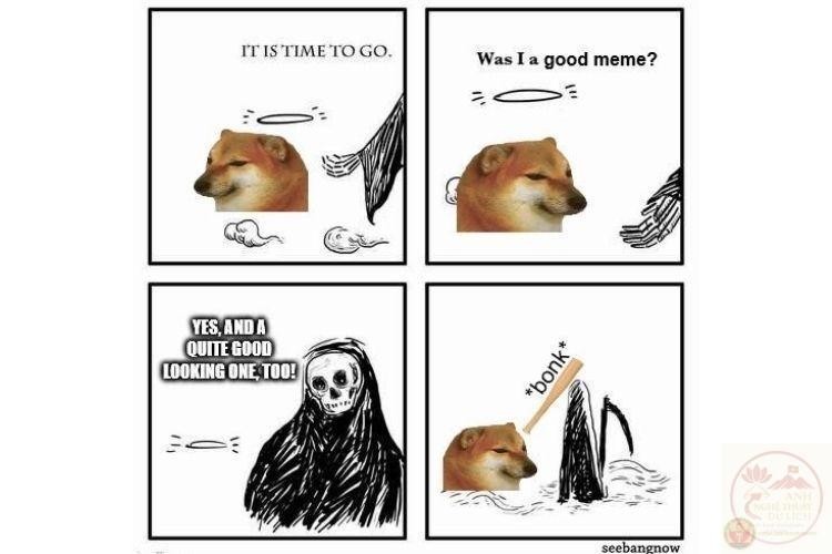 Ảnh chế động vật meme loài vật lầy lội nổi tiếng mạng xã hội