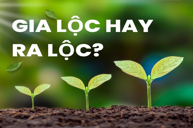 Cảnh sát phong tỏa và khám nghiệm khu vực phát hiện thi thể nạn nhân