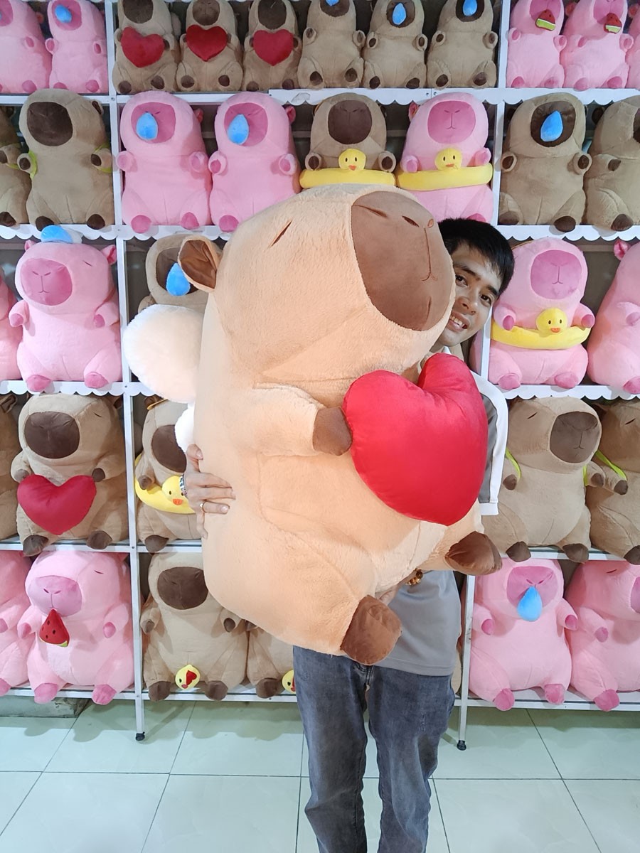 Mẫu gấu bông Capybara độc đáo