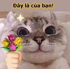 Chú mèo ngồi trang trọng với bó hoa trên tay