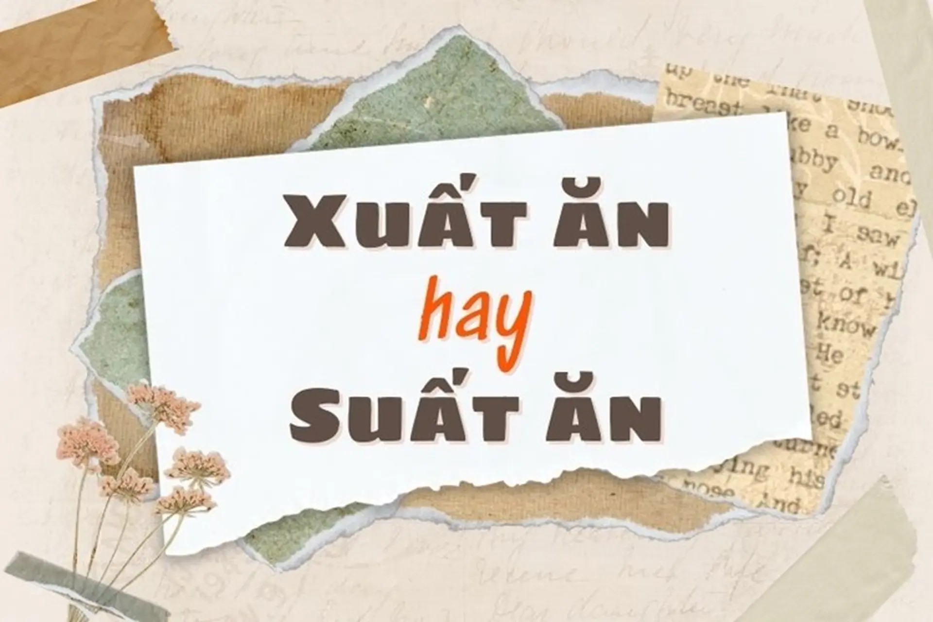 Hình ảnh minh họa cho các suất ăn được chuẩn bị sẵn