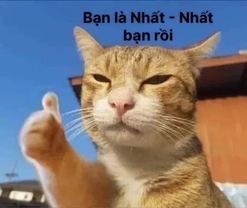 Hình troll boss mèo cầm muỗng nhìn cực kỳ “đạo cụ”.