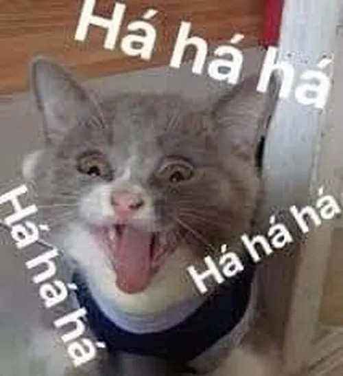 Meme chế mèo lầy giả làm tượng sống nhìn lạnh tanh.