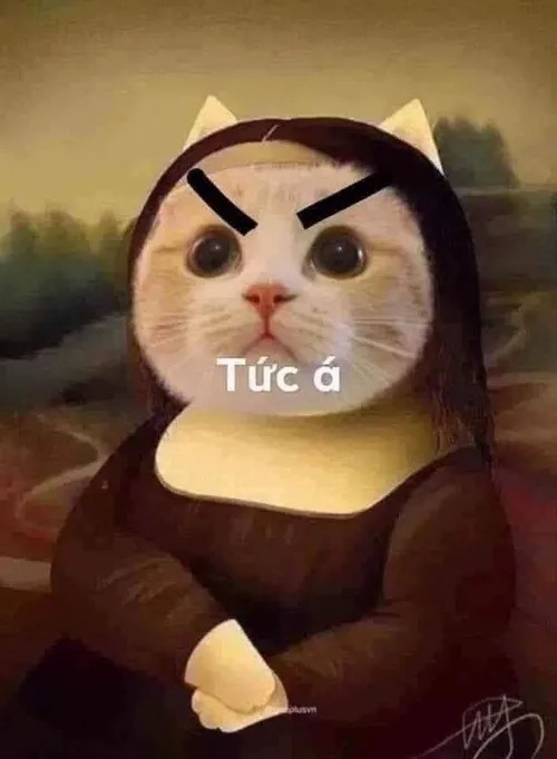 Hình troll mèo mướp đơ mặt vì nghe nhắc tới “tắm”.