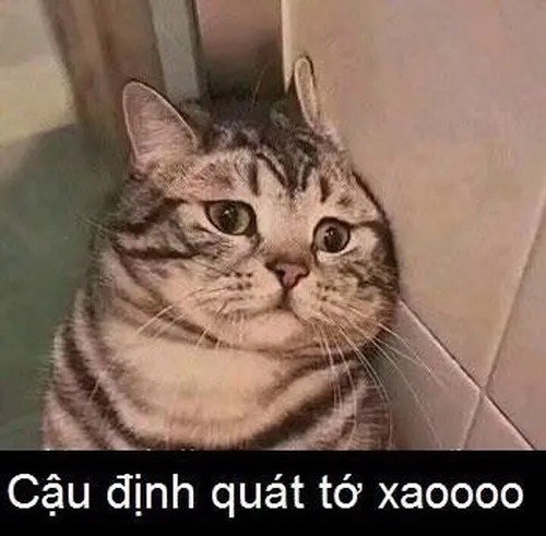 Ảnh troll boss lầy chơi ngu nhưng cực hài.