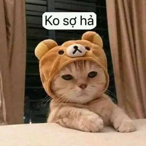 Hình troll mèo bựa bị bắt quả tang ăn vụng cá.