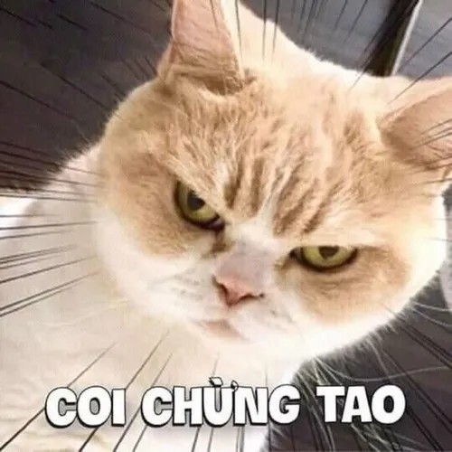 Hình troll mèo bựa giả làm tượng để đánh lừa chủ.