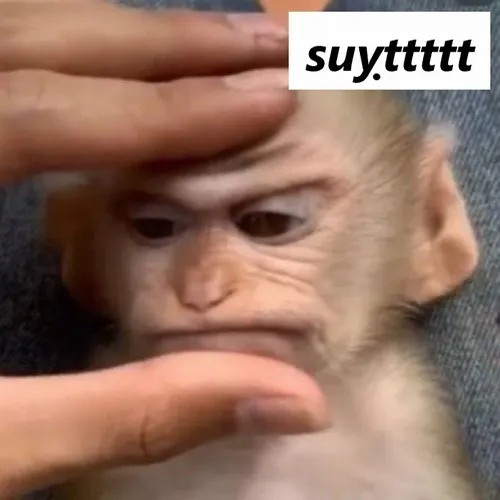 Ảnh troll suỵt nhỏ nhẹ, nét cười đầy tinh tế.