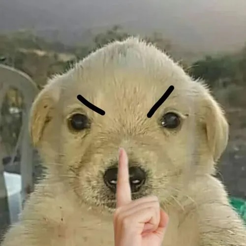 Hình troll biểu cảm kín đáo, thần thái đầy ngụ ý.
