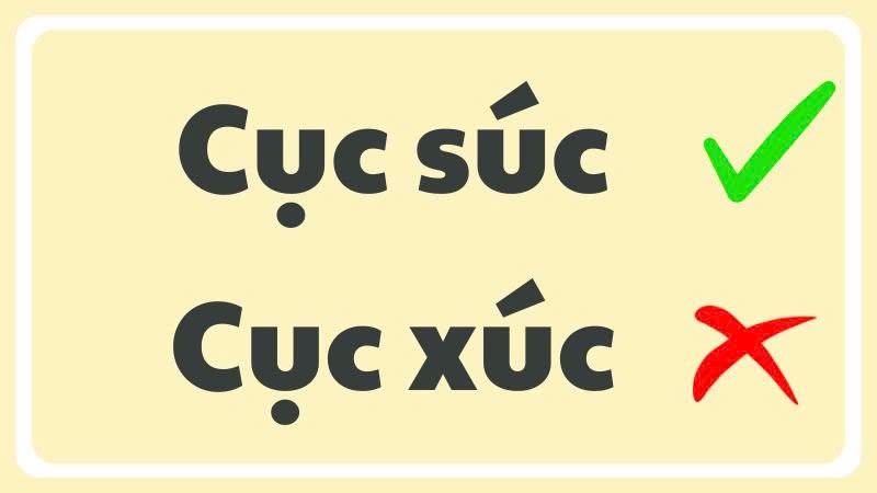 Cận cảnh một chú gấu bông với biểu cảm đáng yêu
