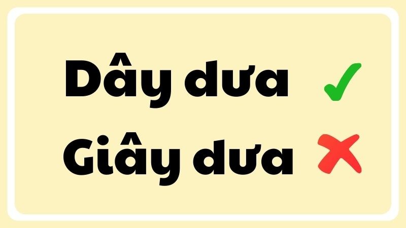 Hình ảnh minh họa sự phân biệt đúng sai giữa dây dưa và giây dưa