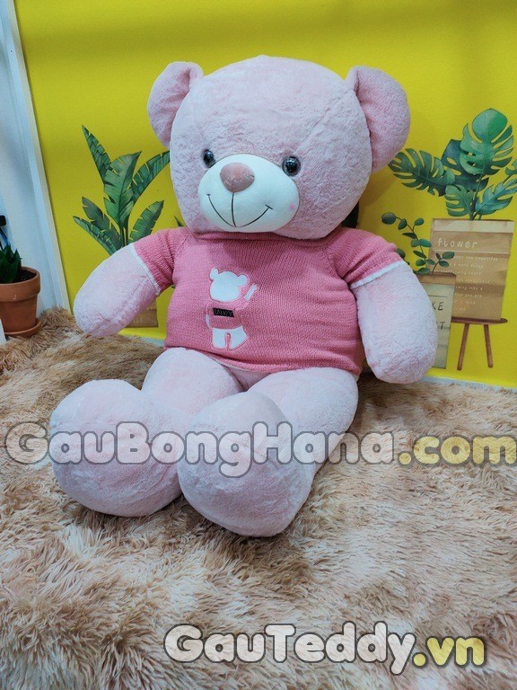 Gấu Bông Hồng Áo Gấu Hồng