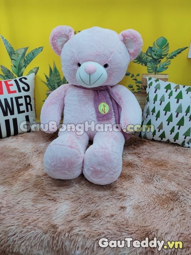 Gấu Bông Hồng Choàng Khăn