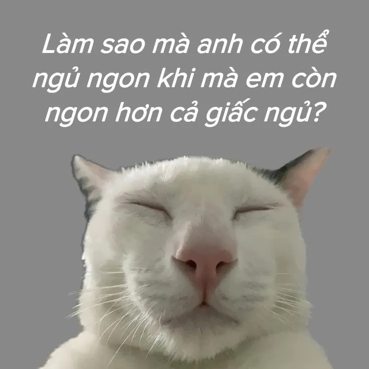 Meme chế lời chúc ngủ ngon bá đạo