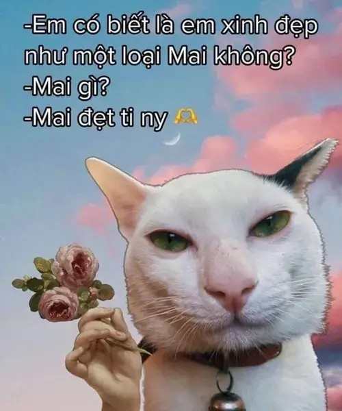 Ảnh vui mèo nằm sấp như đang suy ngẫm về đời.