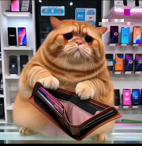 Ảnh vui mèo nằm phè ăn vụng trông vừa tội vừa buồn cười.