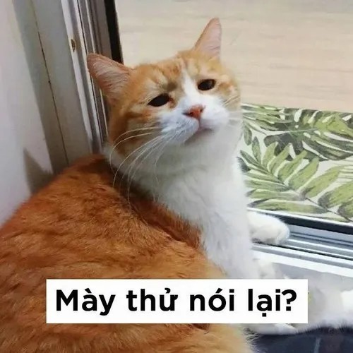 Khoảnh khắc boss lầy giả vờ ngất khi bị la.