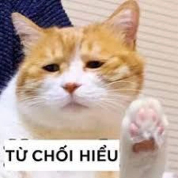 meme từ chối gặp mặt