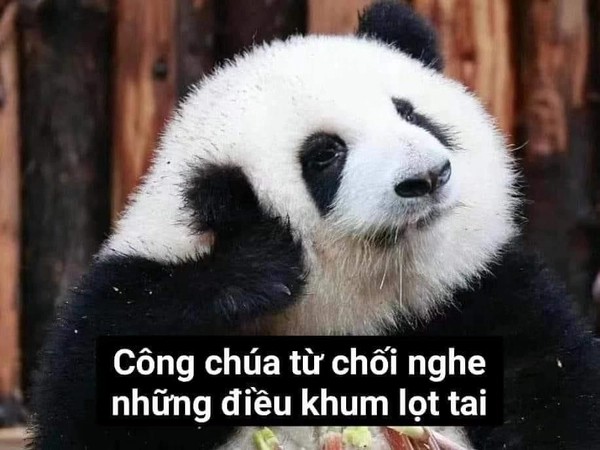 meme từ chối sự thật