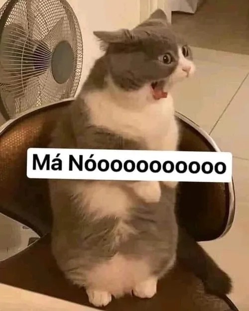 meme từ chối tham gia