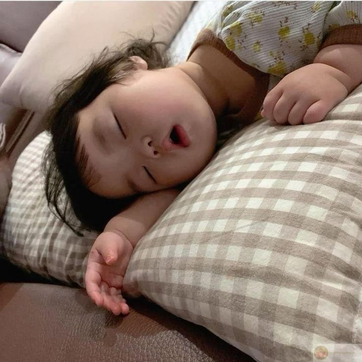 Một chiếc meme mệt mỏi ngộ nghĩnh khiến ai nhìn cũng phải mỉm cười đồng cảm