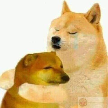 Một chiếc meme ôm cute khiến mọi người phải mỉm cười