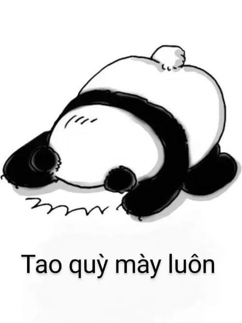 Ảnh chế quỳ lạy van xin cảm động