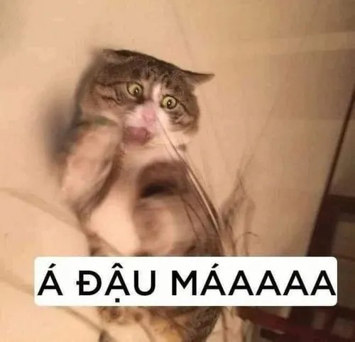 Meme hài cực bựa khiến dân mạng cười xỉu