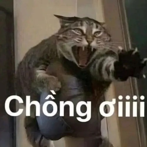 Ảnh hài có dòng chữ “chồng ơi”