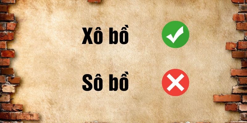 Xô bồ hay sô bồ