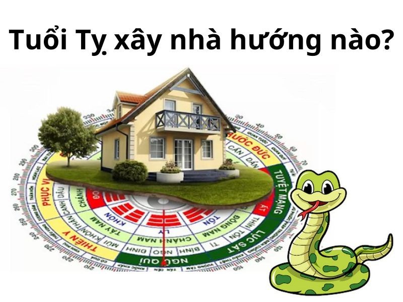 Bản đồ hướng nhà phong thủy cho nam tuổi Quý Tỵ