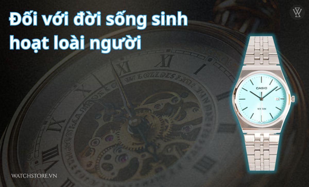 Cảnh sát phong tỏa và khám nghiệm khu vực phát hiện thi thể nạn nhân