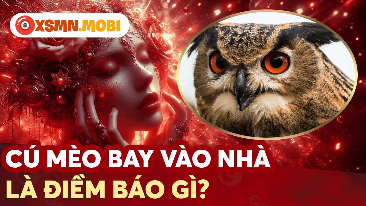 Giải mã điềm báo con cú mèo và bộ số tài lộc