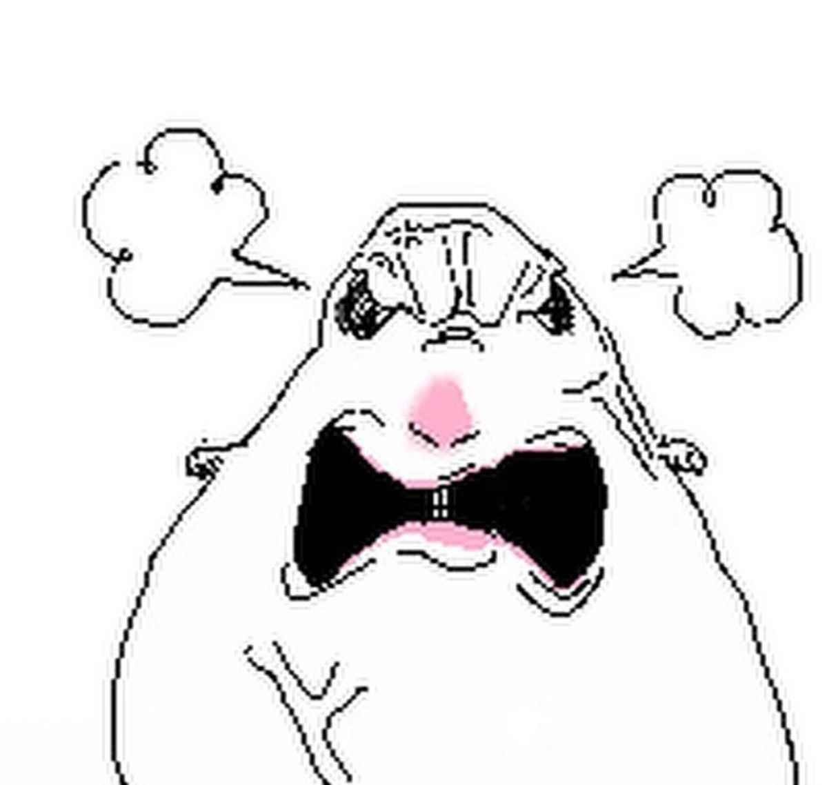 Hamster meme siêu cấp đáng yêu