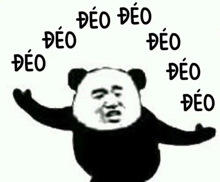 Meme gấu trúc bá đạo 1 loạt chữ Đéo