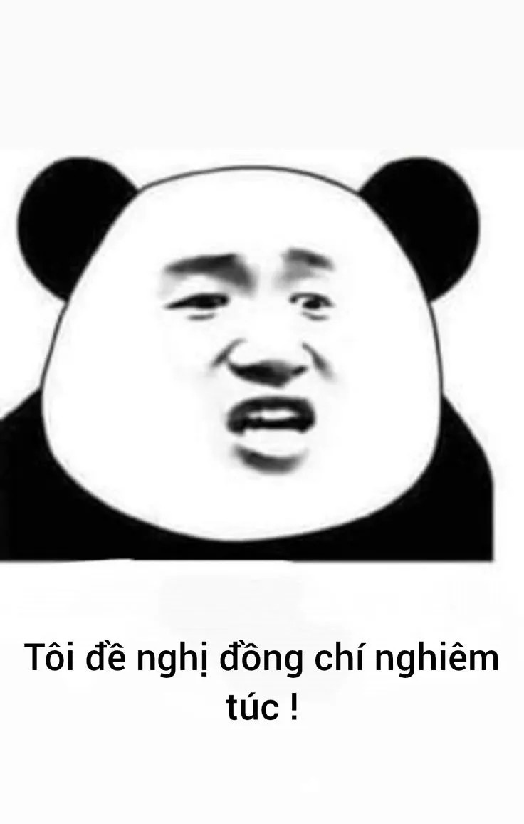 Gấu trúc ngộ nghĩnh: Tôi đề nghị đồng chí nghiêm túc