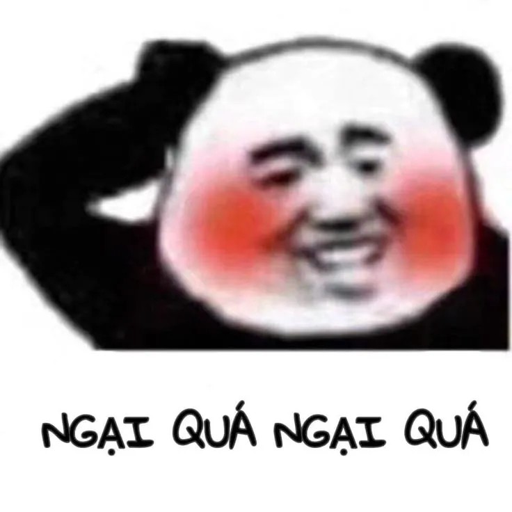 Meme gấu trúc vui nhộn: Ngại quá ngại quá